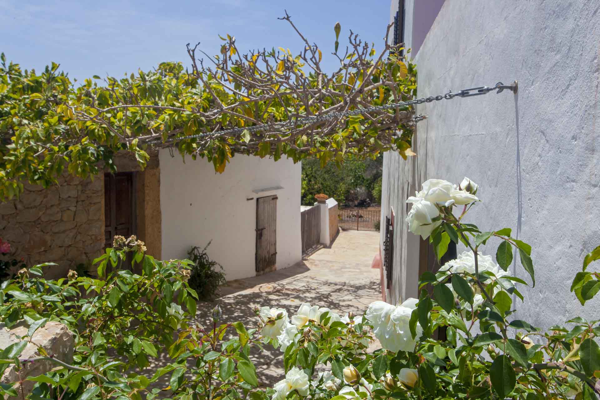 general view of a rental house in ibiza